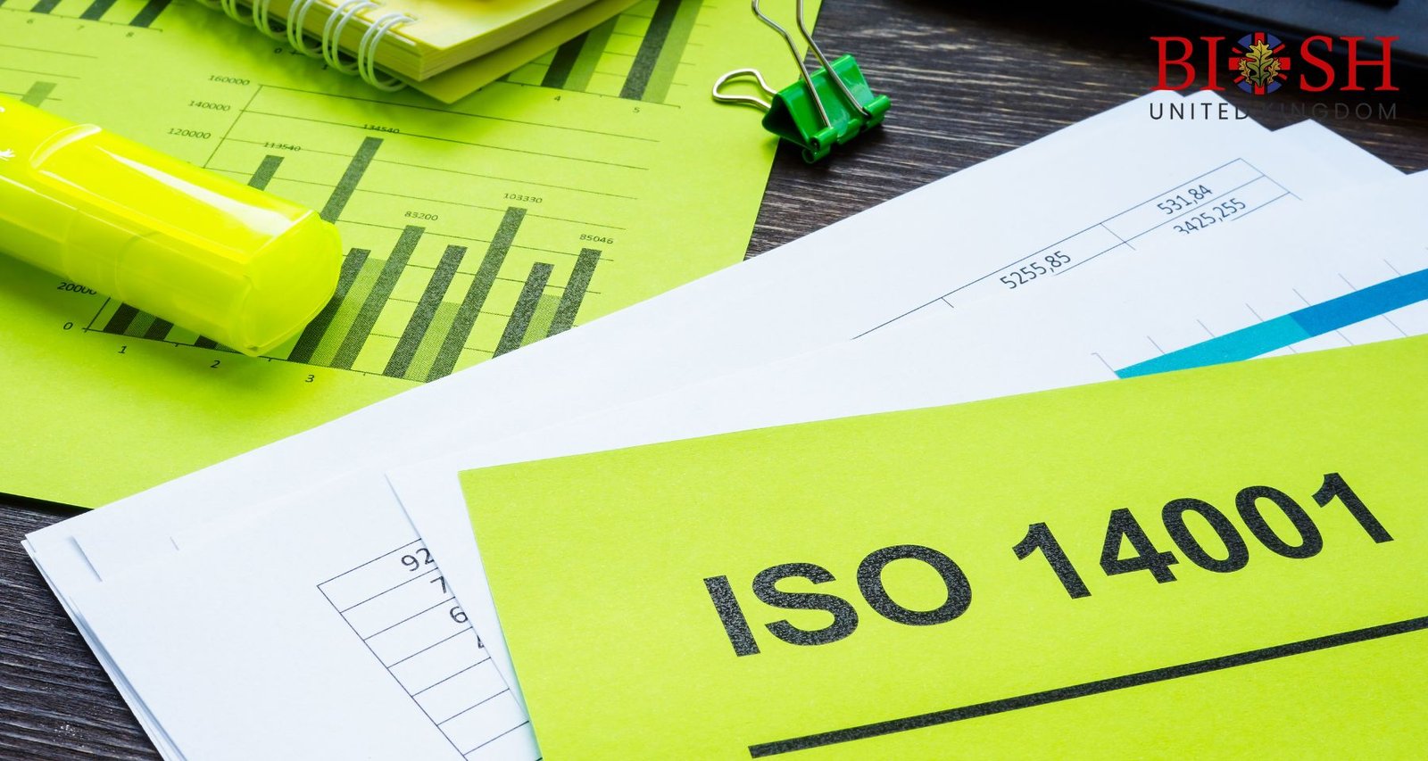 ISO 14001_2026 EMS (Environmental Management System) Transition Internal Auditor Course