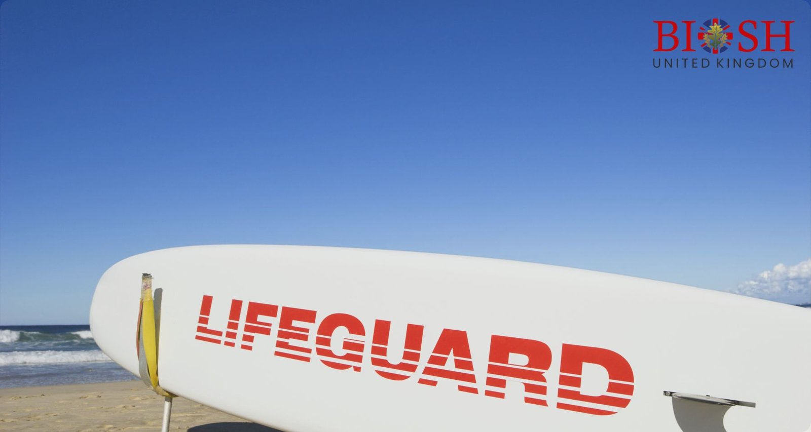 International Lifeguard Qualification