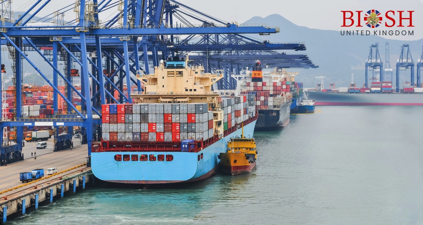 Port Management