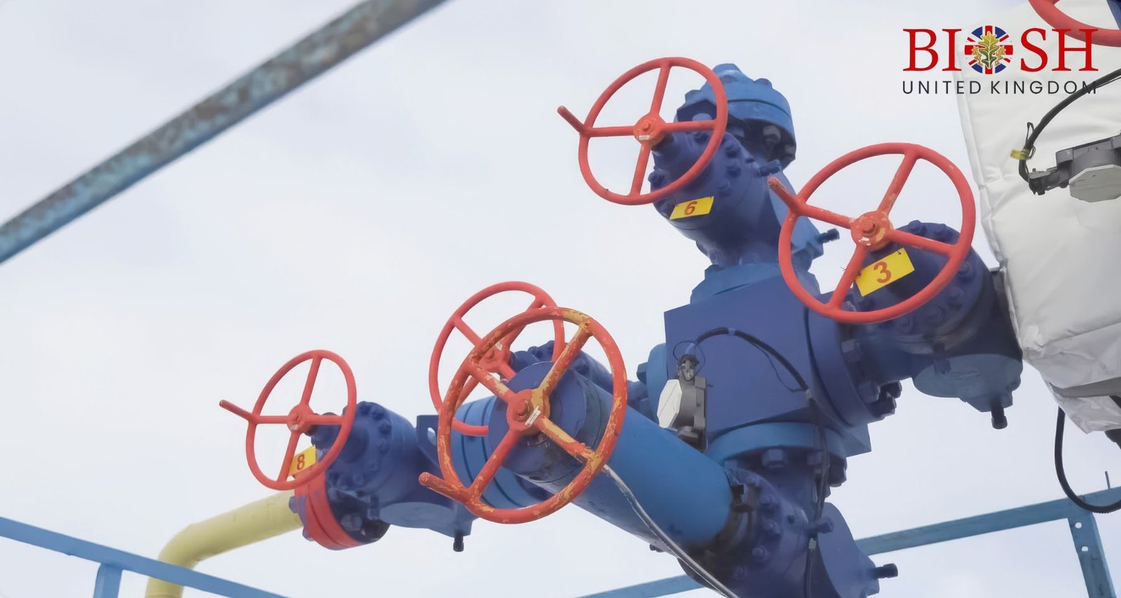 Well Intervention Pressure Control
